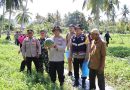 Kapolres Abdya Panen Semangka Bersama Petani Mandiri Binaan Bhabinkamtibmas, Sekaligus Serahkan Bantuan Pupuk Kapolres Abdya Panen Semangka Bersama Petani Mandiri Binaan Bhabinkamtibmas, Sekaligus Serahkan Bantuan Pupuk